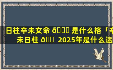 日柱辛未女命 🐘 是什么格「辛未日柱 🐠 2025年是什么运势」